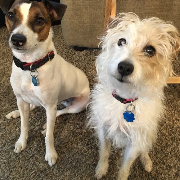 Meet your Posh Ambassador, Mandy!! - Picture 8 of 8